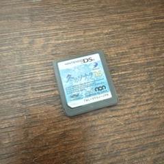 冬のソナタ　DS ケース無し　動作確認済み