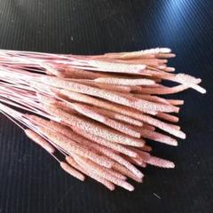 値下げしました。フレウムドライ(ピンク)