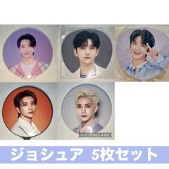 SEVENTEEN ピケット うちわ ジョシュア セット ジョシュア セブチ SEVENTEEN うちわ ピケット 合計8点セット