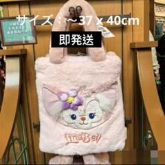 上海ディズニー 小さい教室 リーナベルクッキーアンお弁当バッグ