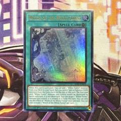 2025年最新】白き森の人気アイテム - メルカリ