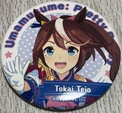 トウカイテイオー　缶バッジ 5個セット 2025年最新】トウカイテイオー 缶バッジの人気アイテム - メルカリ