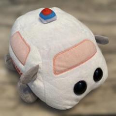 PUIPUI モルカー　◆ DRIVING SCHOOL