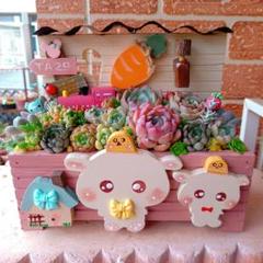 ❤️多肉植物❤️そのまま飾れる寄せ植え❤️垂れ耳うさぎちゃん❤️