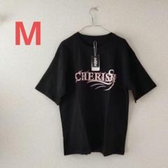 ✨残り１点✨ Tシャツ メンズ 半袖 大きいサイズ 英語 ビッグT クルーネック