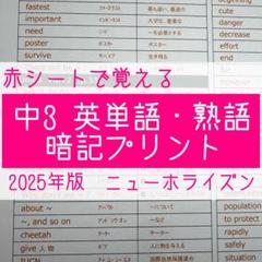 中3英語　英単語・熟語 暗記プリント（ニューホライズン）★定期テスト・受験対策