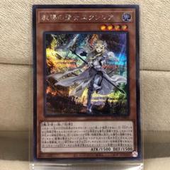 教導の聖女エクレシア シークレットの中古/未使用品 - メルカリ