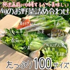 近郊農家の家野菜 採れたてたっぷり100サイズ お野菜詰め合わせ セット280