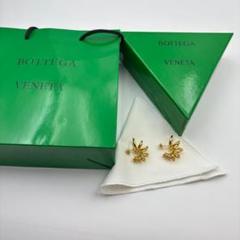 BOTTEGA VENETA エンベリッシュ マルチヘリックス ピアス 大人気 2025年最新】Bottega Veneta レディース ピアス(両耳用)の人気