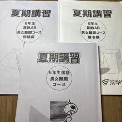 書き込み無し　浜学園小6 国語　記述力養成講座 全18冊セット 浜学園 小6 国語 知識分野の達人 テキスト ☆ 019S2D : ブックス