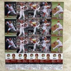 プロ野球チップスカード2025広島東洋カープ20枚セット