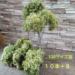 おまとめ⭐︎swag #302 森の香り グリーン 紫陽花 縦型 スワッグ おまとめ⭐︎swag #302 森の香り グリーン 紫陽花 縦型 スワッグ