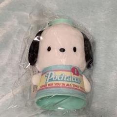 ポチャッコ メガホン ぬいぐるみ