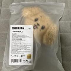 MINITEEN ドギョム ぬいぐるみ ドア ミニティーン DK セブチ seventeen miniteen ドギョム ドア ぬいぐるみ MINITEEN