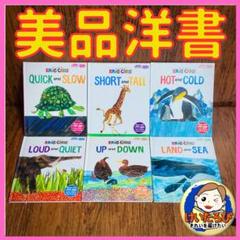 Q19エリックカール ERIC CARLE 洋書 絵本 セット まとめ売り 1歳