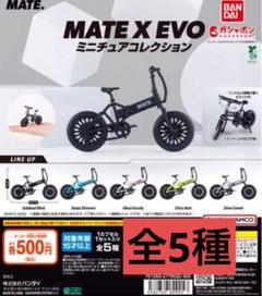 MATE X EVO ミニチュアコレクション　全5種セット①