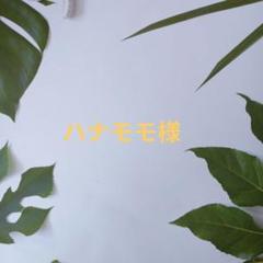 ecoプラスレジン　✖️ 2本 楽天市場】【新発売】ECOプラスレジン【正規品】レジンクロス