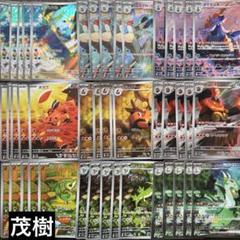 ミジュマルAR ポカブAR ツタージャAR 進化ライン各5枚セット