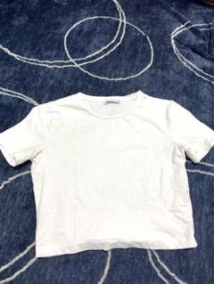 ZARA 白Tシャツ クロップド‎Tシャツ　M