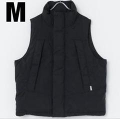 DAIWA PIER 39 ダイワピア39 ダウンベスト　在原みゆ紀さん着用 在原みゆ紀】 TECH BACK PACKER DOWN VEST
