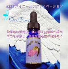 【専用】#221 パイニールアクティベーションアンジェリックフラワーエッセンス他 2025年最新】パイニールアクティベーションの人気アイテム