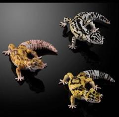 2025年最新】ヒョウモントカゲモドキ フィギュアの人気アイテム