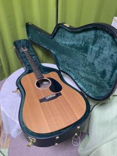 弾き語りならMARTIN エレアコDCX1AE Macassar スプール単版 弾き語りならMARTIN エレアコDCX1AE Macassar スプール単版