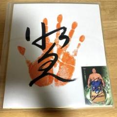 アーカイブ場所】 小結・琴錦-寺尾 平成4年 十一月場所 初日