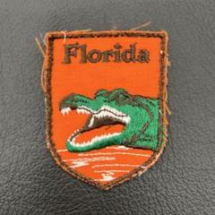 ヴィンテージ 刺繍 ワッペン 1970 1980 カリフォルニア州レイクタホ D ヴィンテージ 刺繍 ワッペン 1970 1980 カリフォルニア州