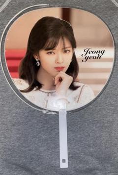 ジョンヨン うちわ まとめ売り TWICE 公式グッズ まとめ売り 銀テ うちわ ジョンヨン サナ