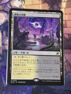 MTG 神無き祭殿　日本語 4枚 ミントモール / MINT GAMES MTG(東日本橋) / 【RVR】【JPN】《神