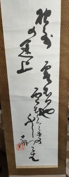 松島十湖（まつしま じっこ）掛け軸 松島十湖（まつしま じっこ）掛け軸 - メルカリ