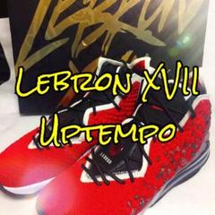 【新品】ナイキ レブロン LEBRON 17 Uptempo 29