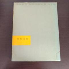 世界美術大系 第1巻 原始美術 講談社版 世界美術大系 第1巻 原始美術 - メルカリ