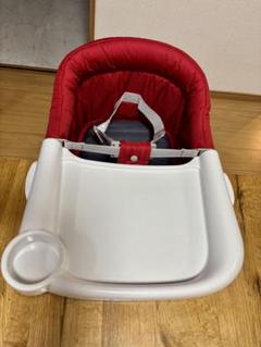 カーサリッチ　イングリッシーナ ファスト&ファスト専用（トレー＋ ドレス付き】