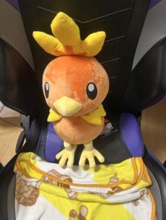 アチャモ 等身大ぬいぐるみ ポケモンセンター 2025年最新】アチャモ 等身大の人気アイテム - メルカリ
