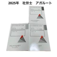 アガルート 社会保険労務士試験 過去問マスター答練 2023年合格目標 計3冊 035S4D アガルート 社会保険労務士試験 過去問マスター答練 令和元年〜3