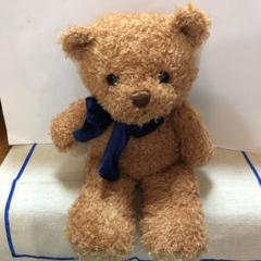 TCC CONTINUITY HOLDINGS N.V　テディベア大2　小1 2025年最新】Yahoo!オークション -continuity(ぬいぐるみ)の中古