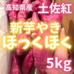 新芋　サツマイモ　おすすめ　芋　25 さつま芋 新さつまいも 2.4kg 高知産又は徳島産又は宮崎産 送料