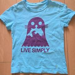 Patagonia 水色 Tシャツ XXS