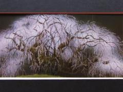 栗原幸彦、【春宵瀧桜】、希少な額装用画集より、美品、新品額装付、インテリア 栗原幸彦、【春宵瀧桜】、希少な額装用画集より、美品、新品額装