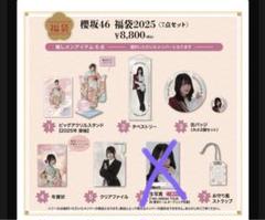 山下瞳月 東京ドーム オープニング衣装 生写真 櫻坂46 福袋 2025 山下瞳月 東京ドーム オープニング衣装 生写真 櫻坂46 福袋 2025