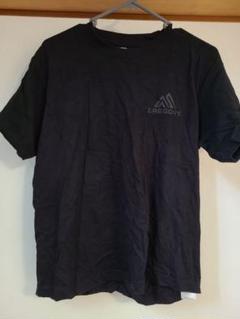 2025年最新】グレゴリーTシャツの人気アイテム - メルカリ