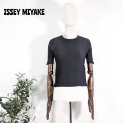 美品☆イッセイミヤケ ラグランスリーブカットソー 22SS 黒 近年 プリーツ 美品☆イッセイミヤケラグランスリーブカットソー22SS 黒近年