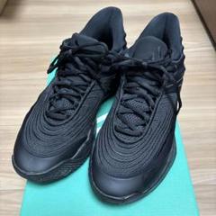 Nike スニーカー　バッシュ　Giannis Immortality 4