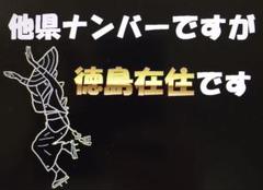 【在庫限り/超特価 24時まで】県外ナンバーカスタム可能、県内、在住、徳島県