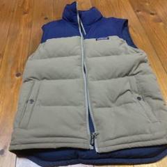 2025年最新】patagonia カラー：ベージュ系 ダウンベスト