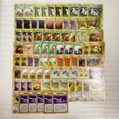【旧裏】第2弾拡張パック「ポケモンジャングル」のみ 30種80枚まとめ売り