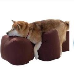 2022年最新】リラクッション 犬の人気アイテム - メルカリ