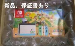 Nintendo Switch あつまれどうぶつの森セット